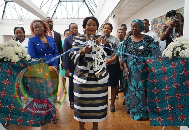 Health Minister Moyo defends First Lady’s meddling in govt affairs