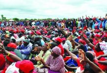 Malaria Claims 131 Lives – Ministry of Health