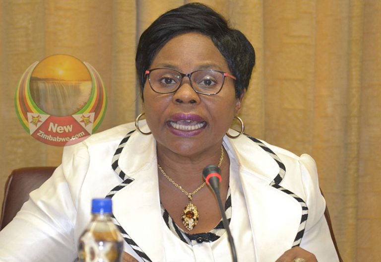 Information Minister: Private sector using bread prices to inspire an uprising in Zimbabwe