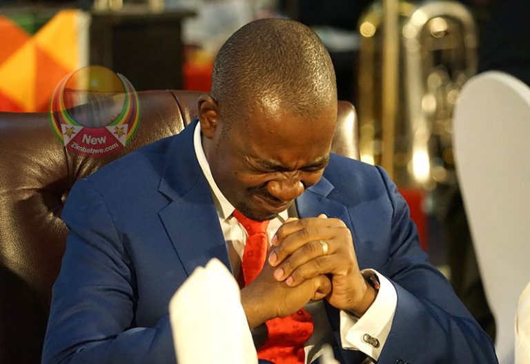 Chamisa needs Mwonzora – My Opinion