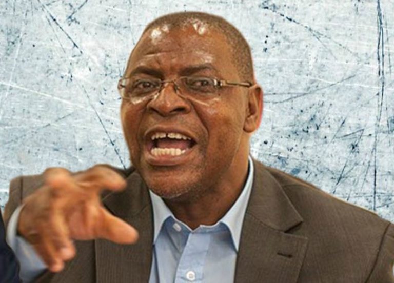 MDC VP race: Party ‘to rig’ for Welshman for tribal balance, Biti concerned about ballot stuffing