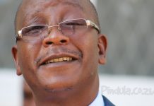 Ziyambi To ‘Terrorists’: Please Stop Tarnishing Country’s Image
