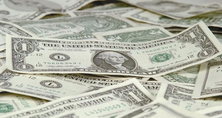 ‘Zim risks redollarising’