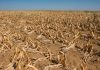 Drought to Slow Down Economic Progress As Zim Face a Dull 2020