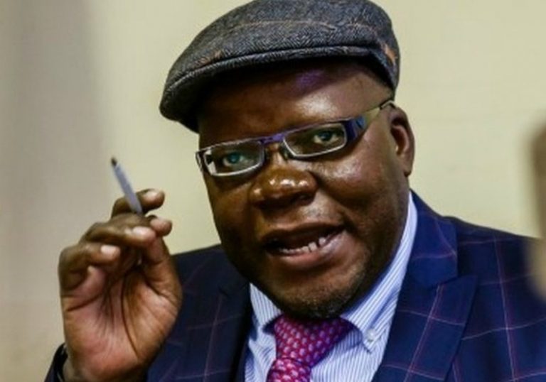 ED, Zanu PF lack people love, Chamisa is best for leader – Biti