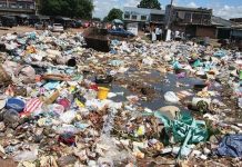 ‘Zim should build a waste recycling plant’