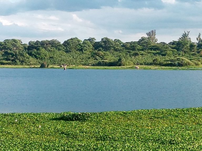 New dam to benefit 146 displaced villagers