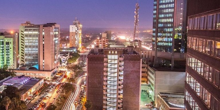 We Can Make Zimbabwe A First-World Economy – Zim People First