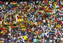 Ex-Club Brugge coach applies for Warriors job – Report