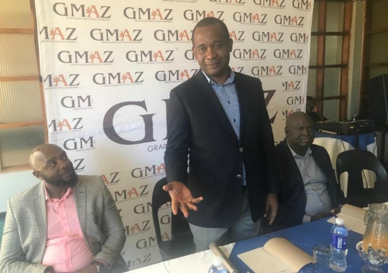 Prominent Bulawayo activist in court for unsanctioned demo