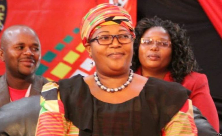 Zimbabwe: Khupe Calls for More Efforts Towards Economic and Social Rights