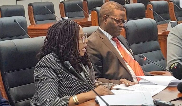 Govt Urges Citizens To Maintain Peace Ahead Of MDC Protests