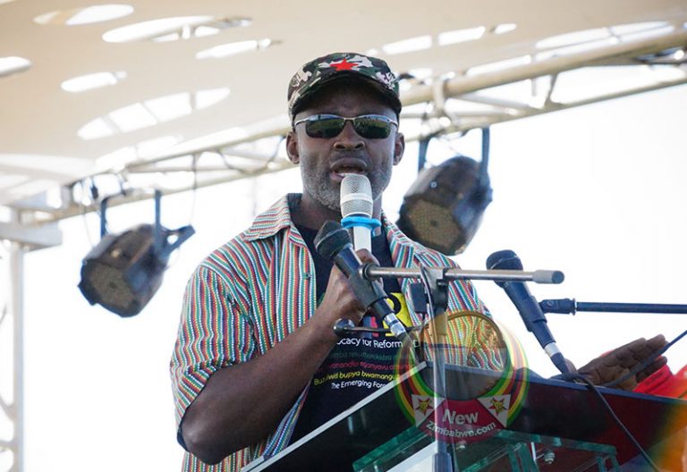 Mliswa lauds ED nod on MDC demo