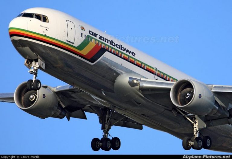 Zim needs stronger investments management framework for govt