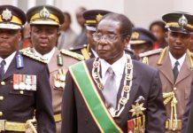 Wrong to blame Zim crisis on war veterans