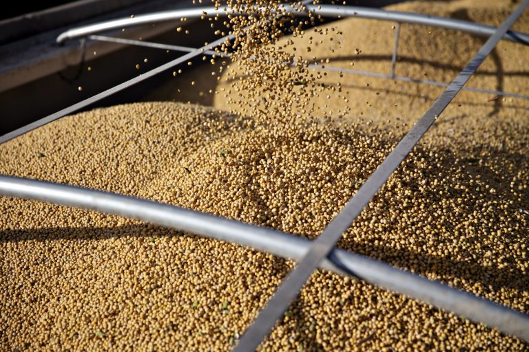 Zimbabwe Railways to Bring 100,000 Tons of Corn from Tanzania