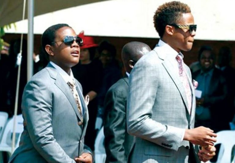 What next for the Mugabe kids?