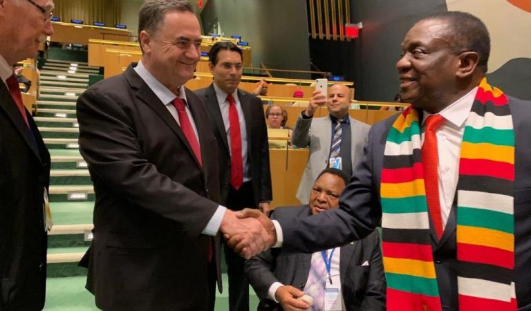 Zim doctors being bribed by the enemy to remain on strike – ED