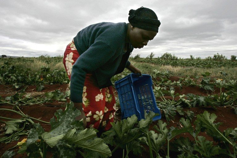 Joint Call for Action to Address the Impacts of Climate Change