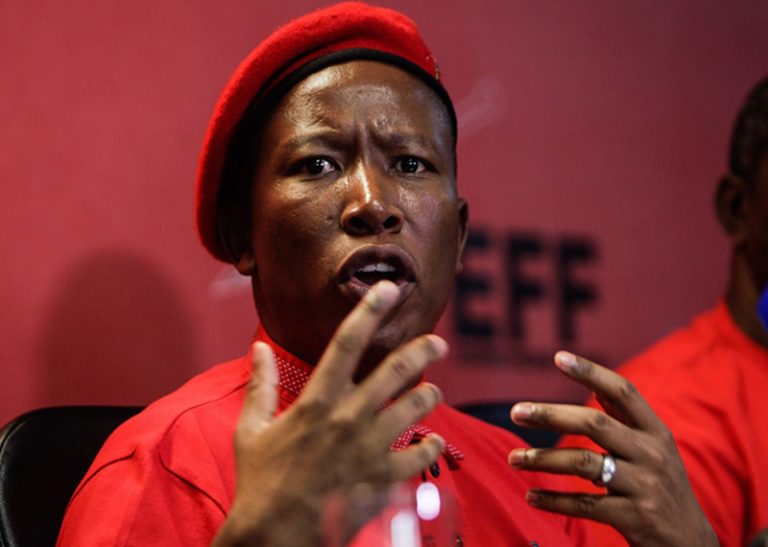 Malema in Mnangagwa plea to allow G40 to bury Mugabe