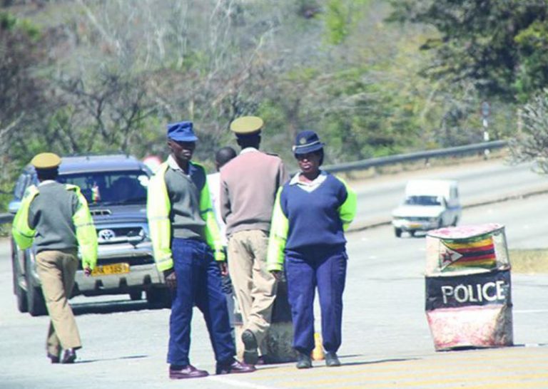 Bulawayo police officers fight property seizures