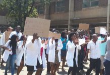 Striking doctors blocked from confronting Mnangagwa