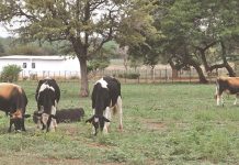 Climate Change Is Hurting Africa’s Water Sector, but Investing in Water Can Pay Off