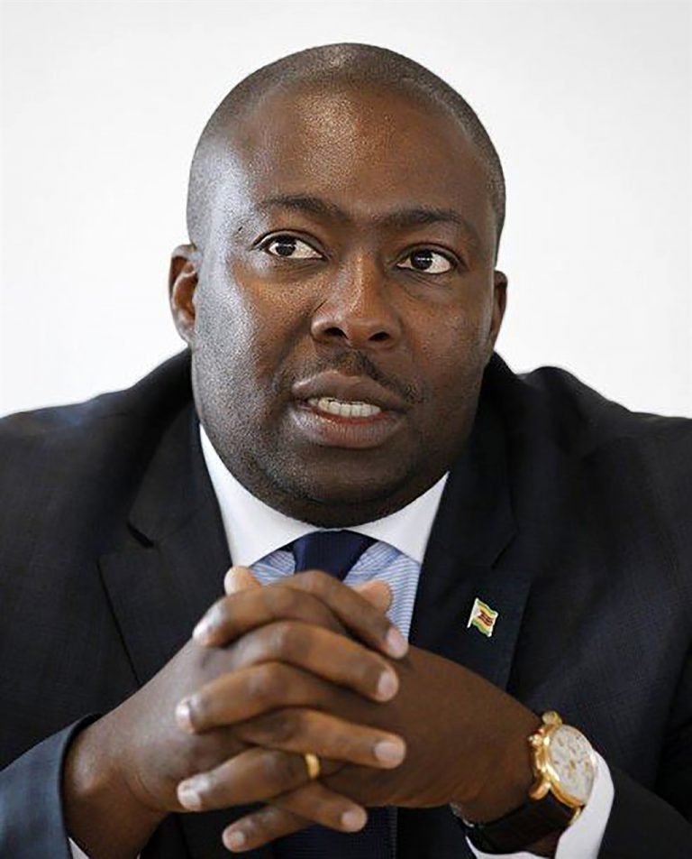Mugabe’s death must unite Zimbos: Kasukuwere