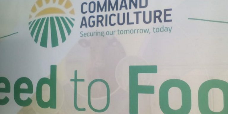 Zimbabwe Agricultural Society Appoints Enkelbert Makaure Acting CEO