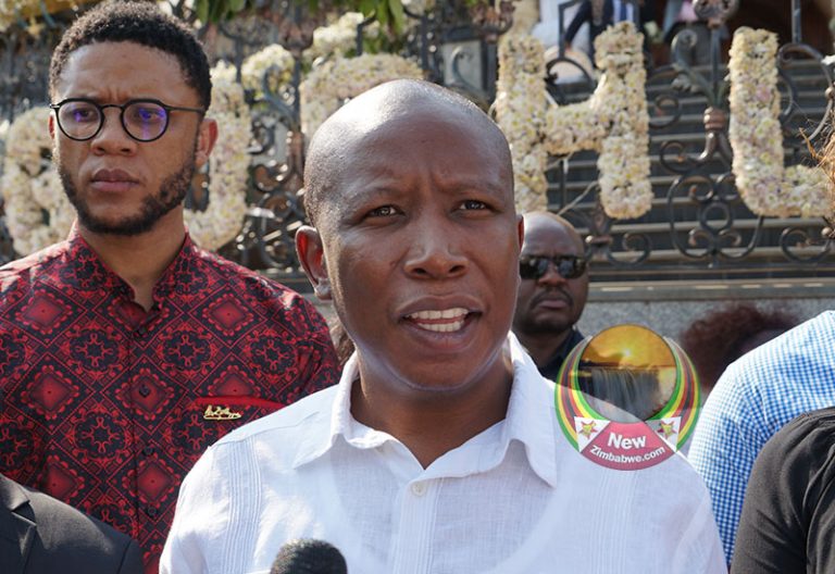 Mugabe family changed burial place after Malema visit