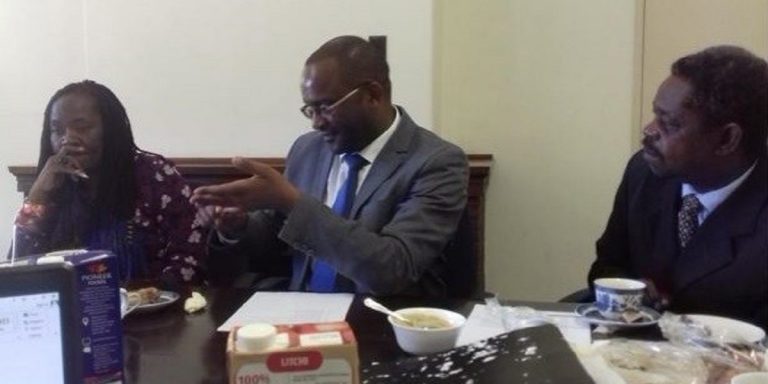 MDC To Resist Constitution Amendment To Remove Clause