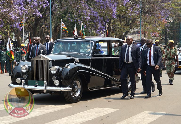 Mnangagwa gives in, sets up special team to deal with state violence