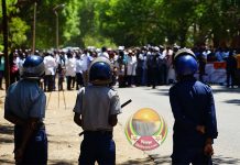 The Human Cost of Zimbabwe’s Economic Meltdown