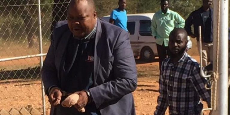 Sikhala Indicted For Trial On Charges Of Plotting To Dislodge ED From Power