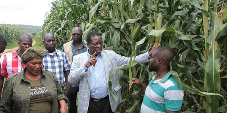 “We’ll Take The Land And Redistribute It” ED Speaks On Land Audit