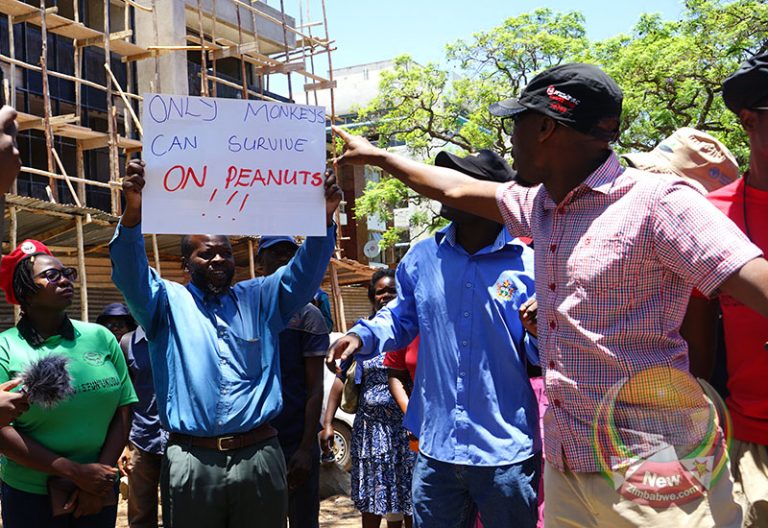 Civil servants unite in anti-govt wage demand protest