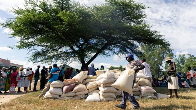 At least 5.5 M people are starving in Zimbabwe:UN