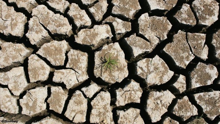 Drought, mounting debt leave Zambia and Zimbabwe in the dark