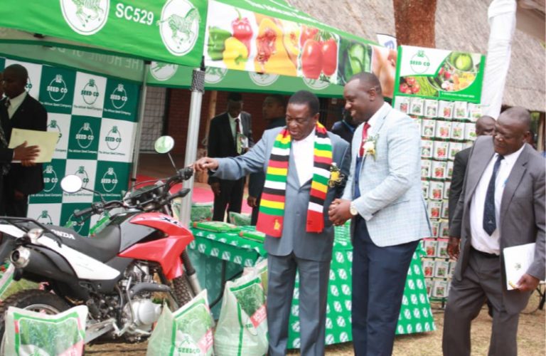 Successful young Zim farmer says inspired by President Mnangagwa