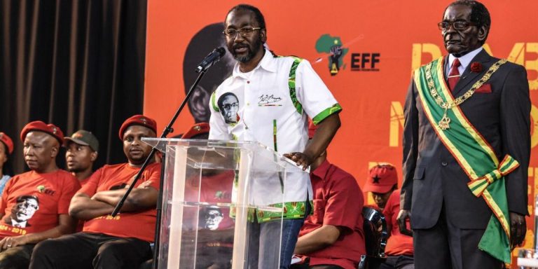 Chamisa Won The 2018 Presidential Election
