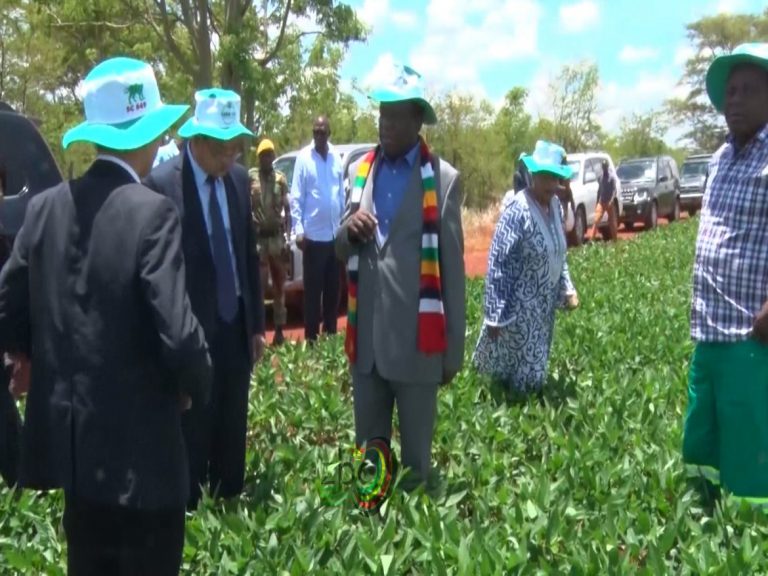 Zim- China Lesso Group partnership to save Zimbabwe millions of dollars