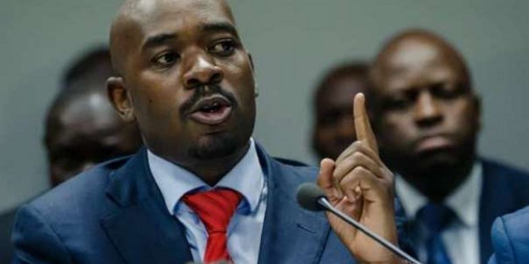 Parliament of Zimbabwe in shoddy deals with a weaker faction of the opposition