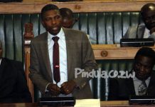 A Series Of Unfortunate Events Befall Chegutu West, Nduna Calls For Prayers