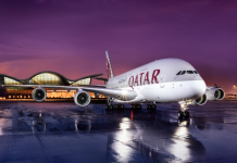 Zimbabwe national airline reveals re-launch strategy