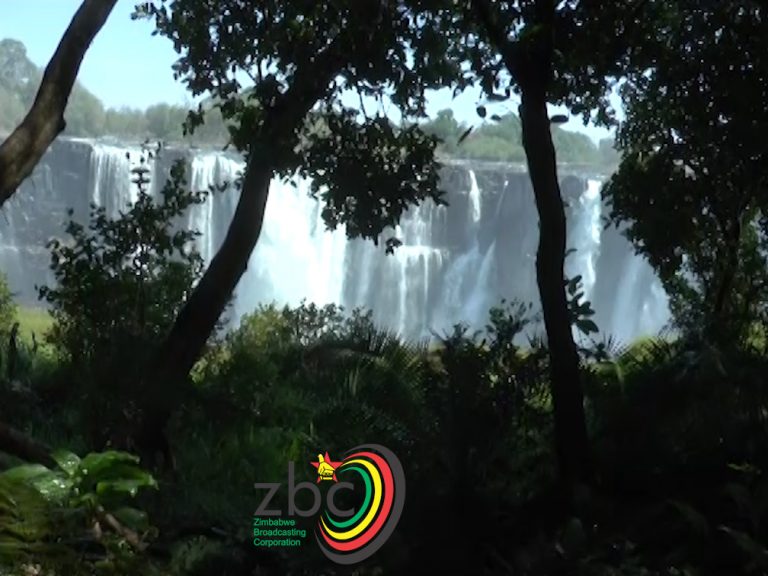 ZTA confident of a strong performance by tourism sector in 2020
