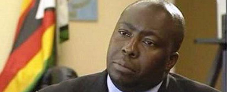Zimbabwe: Workers Panic Over Kasukuwere Farm Seizure