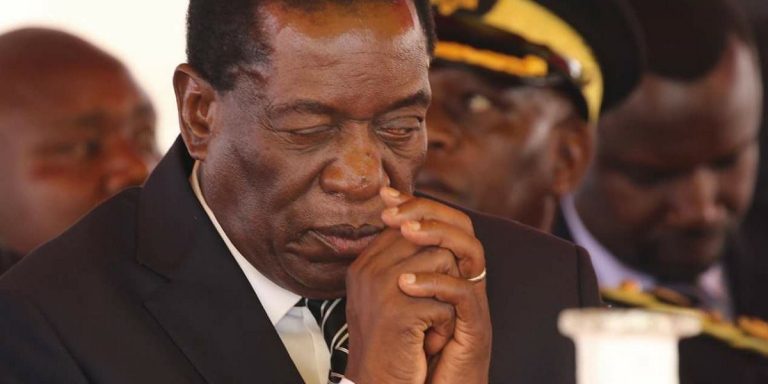 Zanu PF govt on the brink of collapse
