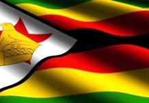 Where are Zim public intellectuals?