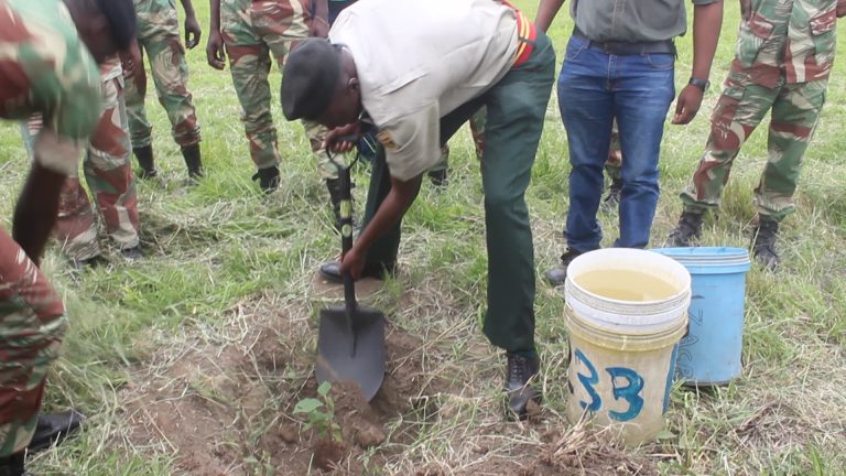 Citizens urged to preserve the ecosystem