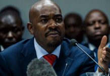 Chamisa allies bicker